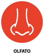estilo vida icon olfato