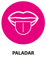 estilo vida icon paladar