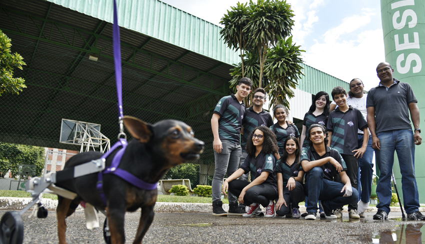 Alunos do Sesi-DF procuram animais para doar próteses e órteses