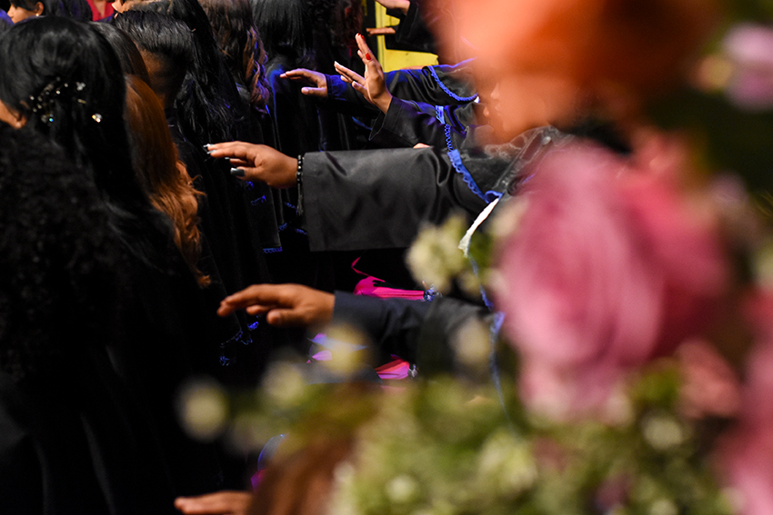 formatura vira vida